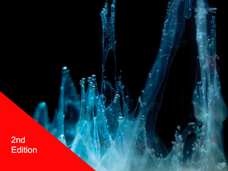 Lobo 책자 2판 커버